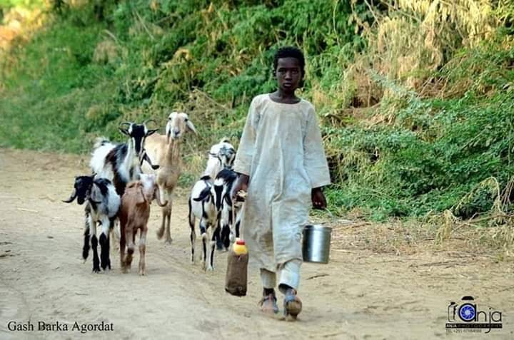 fb_img_1576859070038